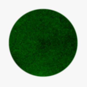 Flocked Heat Transfer - 9-Inch Green